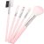 5Pcs Pink Makeup Brushes, Professional Foundation Concealer Face Eye Beauty Tool Set Cosmetic Tools Makeup Brush Sets and Kits