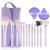 Mini Makeup Brush Set 12 Pcs Makeup Brushes Set Professional Transparant Crystal Handle Foundation Brush Make Up Brushes Highlighter Makeup Contour Brush with Travel Makeup Bag Powder Puff Makeup Set