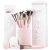 Niré Beauty 15piece Award Winning Pink Makeup Brushes: Pink Makeup Brush Set with Case, Makeup Sponge, Brush Cleaner, Guide, Gift Box