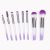 8pcs Mini Makeup Brushes Set, Makeup Brush Kit for Blush, Eye Brushes for Blending, Shadow, Eyelash, Lip and Brow – Perfect Touch Up Makeup Kit (Gradient Purple)