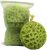 Spongentle Deep Cleansing Body Loofah Sponge, Natural Colors, for Bath and Shower, Multiple Textures for Gentle and Deep Exfoliation, Generous and Rich Lather, (Pack of 3)