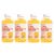 BioMiracle Electrolyte Drink, Pediatric Electrolyte Solution For Kids and Adults, Hydration & Recovery, Mixed Fruit Flavor (4 Pack)