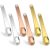 6 Pack Metal Makeup Spatula Makeup Spoon Mini Eye Cream Applicator Beauty Spoon for Facial Cosmetic Tiny Spatulas for Face Mask Cream Lotions Moisturizers