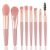 8pcs Mini Makeup Brushes Set, Makeup Brush Kit for Blush, Eye Brushes for Blending, Shadow, Eyelash, Lip and Brow – Perfect Touch Up Makeup Kit (Pink)