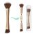 4 in 1 Makeup Brush Set, Travel Makeup Brushes with Case, Foundation Brush/Blush Brush, Eyeshadow Powder Brush,Concealer Brush (gold-plastic case)