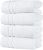 Hawmam Linen White Hand Towels 4-Pack -16 x 29 Turkish Cotton Premium Quality Soft and Absorbent Small Towels for Bathroom