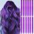 12 PCS Purple Extensions Clip in, Colorful Clip in Hair Extensions 22 inch Synthetic Straight Hair Extensions (12 Pcs-Purple)