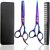 Professional Hair Cutting Shears Set,6 Inch Barber Hair Cutting Scissors Thinning Shears Sharp Blades Hairdresser Haircut for Women/Men/Kids 420c Stainless Steel Rainbow Color (C)