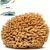 Naroa Soft Natural Sponge | Gentle Sea Sponge for Bathing Healthy Skin | Unbleached Shower Body Scrubber Puff | Eco Friendly Bath Spa Sponge (Soft – Medium)