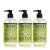 Mrs. Meyer’s Clean Day Liquid Hand Soap, Cruelty-Free, and Biodegradable Hand Wash Made with Essential Oils, Lemon Verbena Scent, 12.5 Oz (Pack of 3)