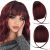 RUN SHUI Clip in Wispy Bangs-Real Human Hair Fake Bangs Hairpieces Wine Red Air Bangs Fringe with Temples Bangs Hair Extensions